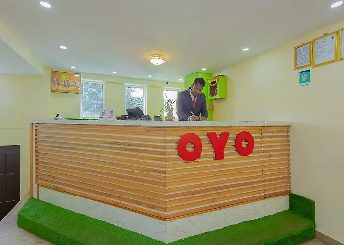 酒店 Oyo 798 Euphoria 加德满都